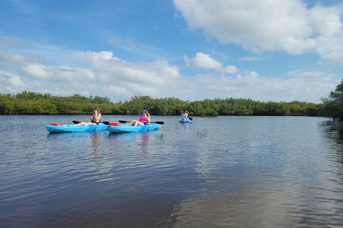 New Smyrna Dolphin and Manatee Kayak and SUP Adventure Tour - Meeting Point and Parking