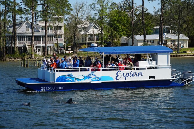 Orange Beach Dolphin Eco Boat Tour - Inclusions
