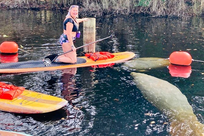 Orlando Manatee and Natural Spring Adventure Tour at Blue Springs - Meeting Point and Pickup Details