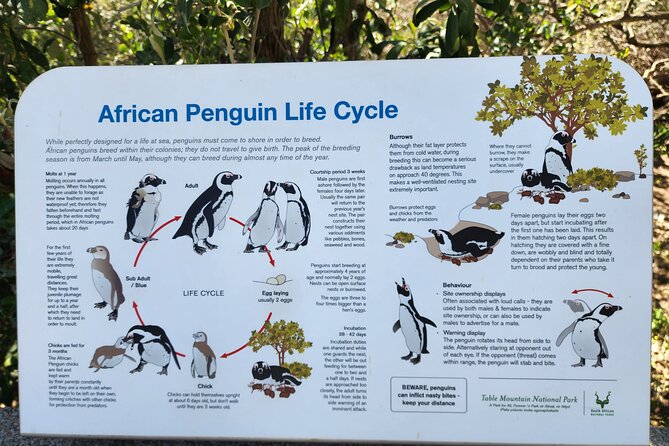 Penguin Encounter Boulders Beach Half Tour Day From Cape Town - Cancellation Policy