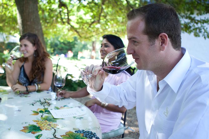 Private Full-Day Stellenbosch Wine Tour - Wine Tasting Experiences