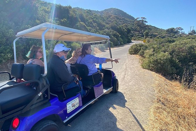 Private Guided Golf Cart Tour of Avalon - Wrigley Memorial Experience