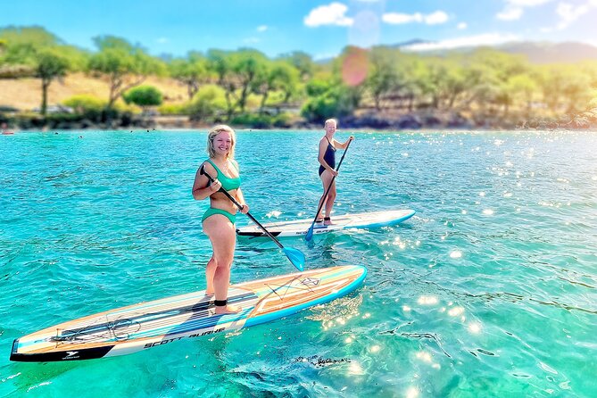 Private Stand Up Paddle Boarding Tour in Turtle Town, Maui - Comprehensive Instruction and Equipment Provided