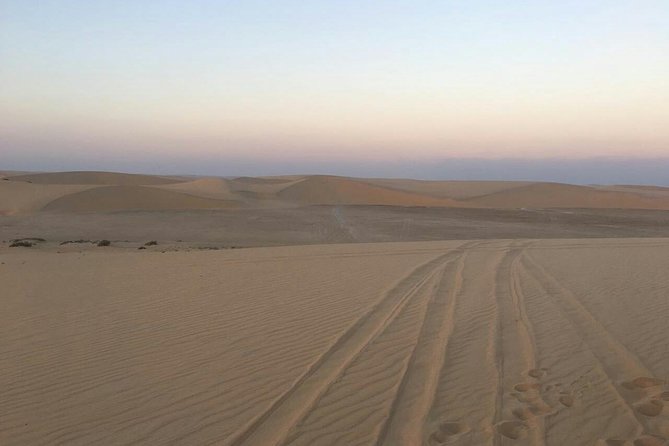 Private Sunrise Desert Safari BashingCamel RideSand BoardingInland Sea Visit. - Camel Ride in the Desert