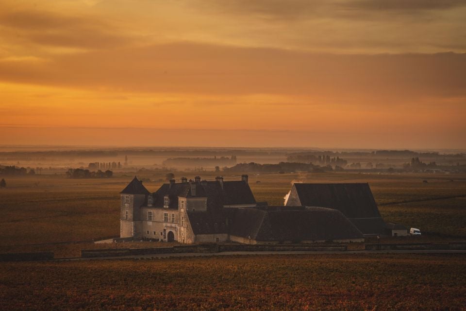 Private Wine Tour in Cote De Nuits and Cote De Beaune - Highlights of the Tour