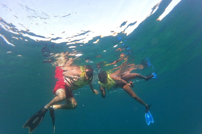 Public Guided Snorkel Tour of Fort Lauderdale Reefs - Traveler Reviews