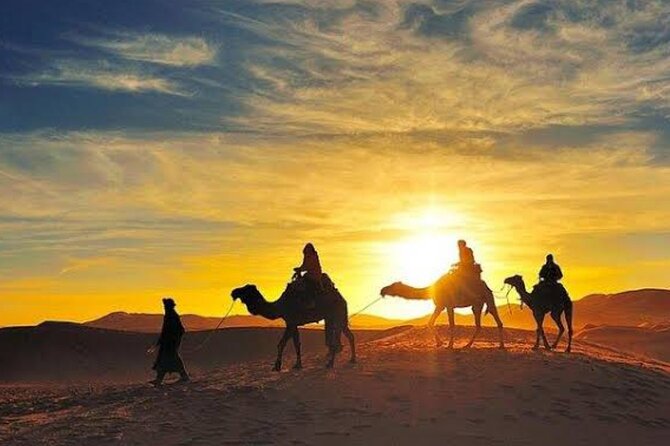 Quad Bike & Camel Ride & Dinner Show In Agafay Desert - Customer Reviews