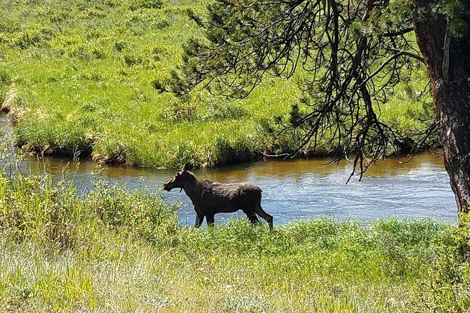 Rocky Mountain National Park in Summer Tour From Denver - Cancellation Policy