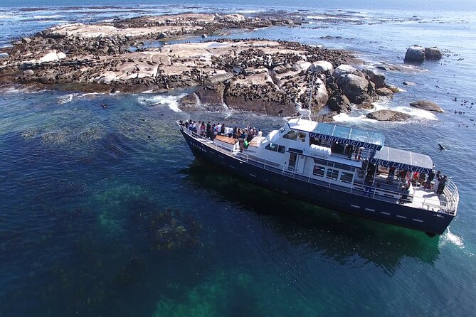 Seal Island,Cape of Good Hope&Penguins Shared Tour,From Cape Town - Penguin Colony Experience