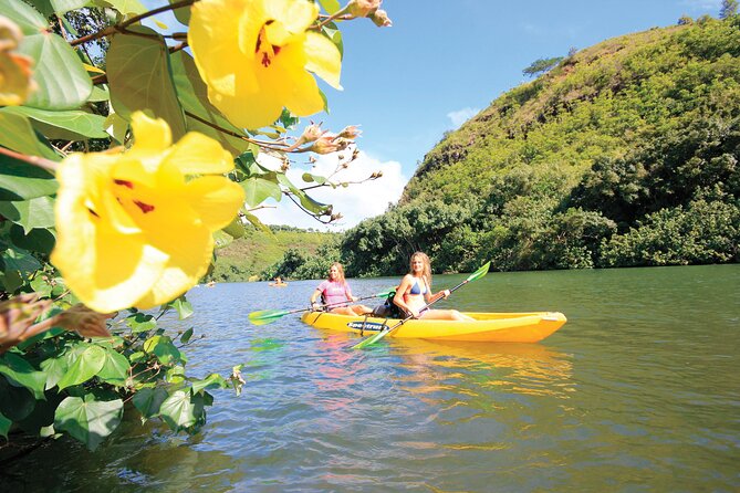 Secret Falls Kayak Hike in Kauai - What to Expect