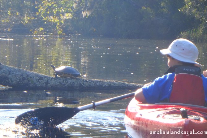 Self Guided Family Friendly Kayak Rental Experience Old Florida - Meeting Point and Directions