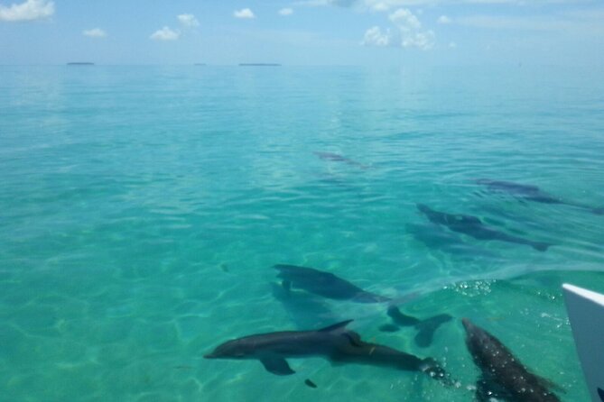 Shallow Water Snorkeling and Dolphin Watching in Key West - Passenger Policies and Restrictions