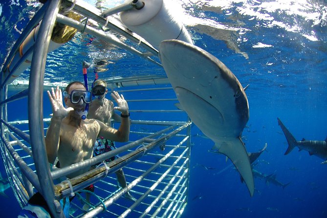 Shark Cage Diving In Oahu - Cancellation and Refund Policy