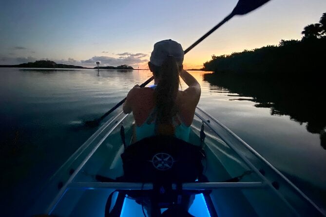 Shell Key Clear Kayak Glow in the Dark Tour - Illuminated Kayaks and Wildlife Spotting