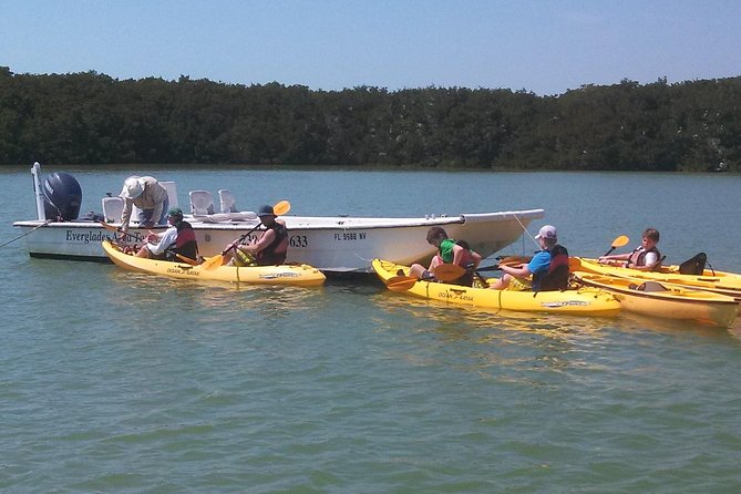 Small Group Boat, Kayak and Walking Guided Eco Tour in Everglades National Park - Kayaking to Barrier Island