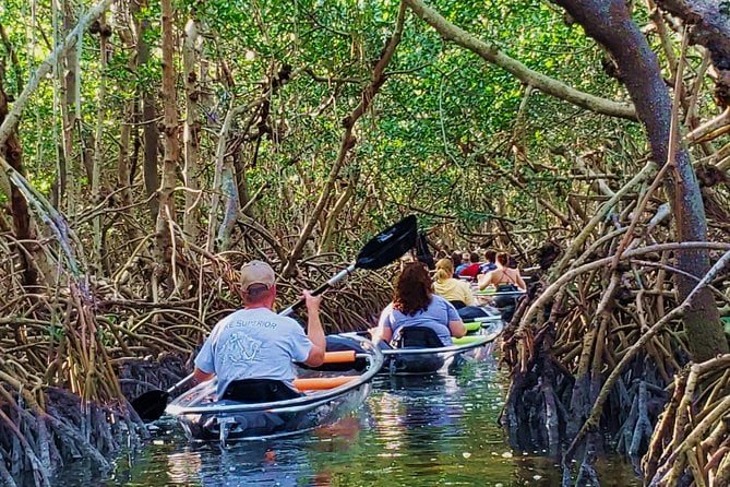 Small-Group Clear Kayak Tour in Shell Key - Visibility of Marine Life