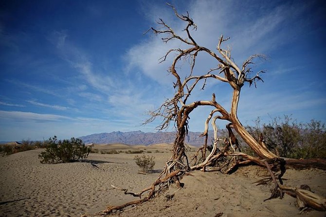 Small-Group Death Valley National Park Day Tour From Las Vegas - Transportation and Meals