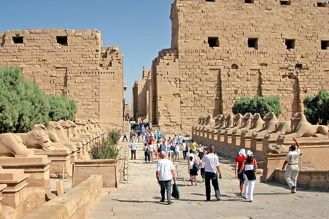 Small Group Full Day Trip to Luxor From Hurghada With Lunch - Private Air-Conditioned Transportation