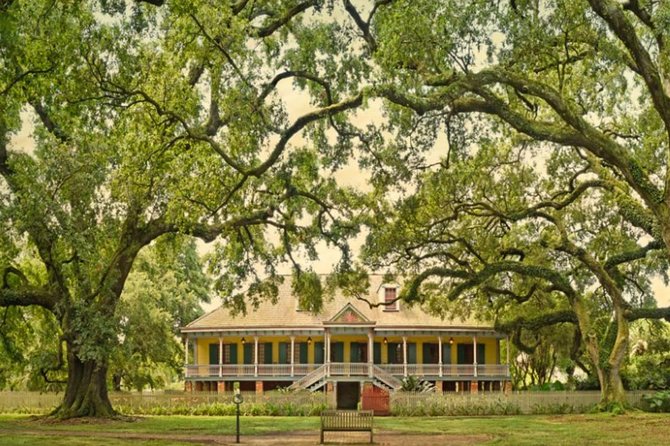 Small-Group Laura and Whitney Plantation Tour From New Orleans - Tour Highlights
