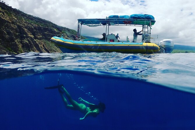 Small Group Snorkeling Expedition South Kona - Cancellation Policy
