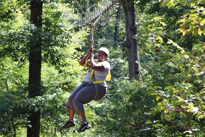 Small-Group Zipline Tour in Hot Springs - Additional Details