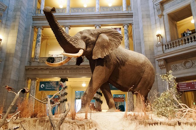 Smithsonian Museum of Natural History - Exclusive Guided Tour - Inclusions and Exclusions