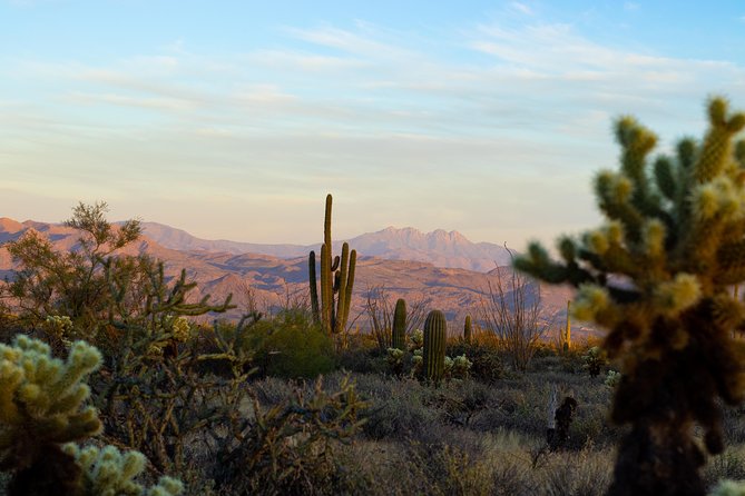 Sonoran Desert Jeep Tour at Sunset - Breathtaking Sonoran Scenery