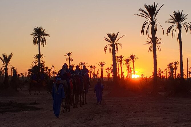 Sunset Camel Ride Marrakech Palmeraie - Meeting Point and Pickup