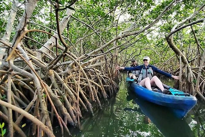 Thousand Island Mangrove Tunnel, Manatee & Dolphin Kayak Tour W/Cocoa Kayaking - Meeting Point