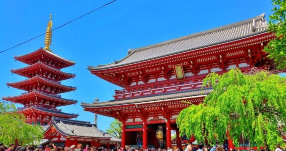 Tokyo: 1 Day Private Customisable City Tour by Car and Van - Cancellation Policy