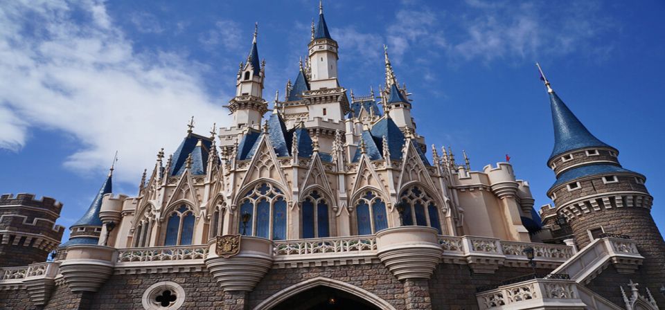 Tokyo Disneyland: 1-Day Entry Ticket and Private Transfer - Private Transportation Details