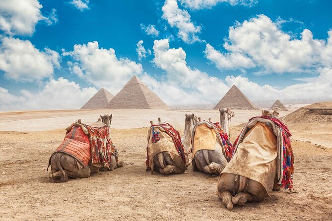 Tour to Cairo and the Pyramids From Hurghada by Private Vehicle - Egyptian Antiquities Museum