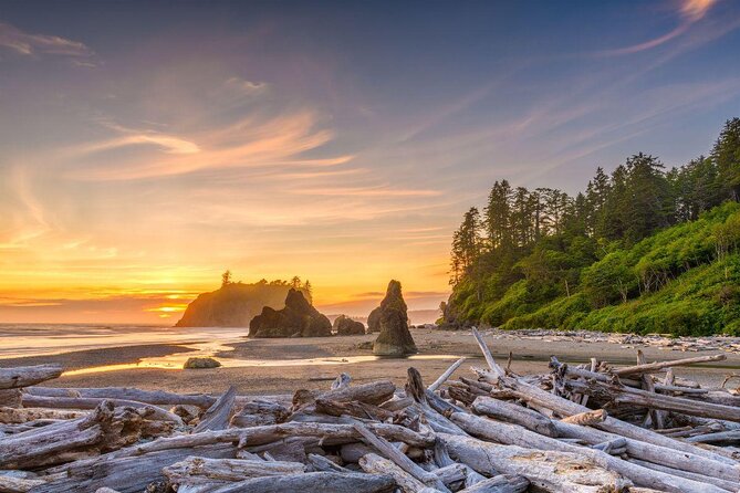 Viator Exclusive Tour- Olympic National Park Tour From Seattle - Pickup and Logistics