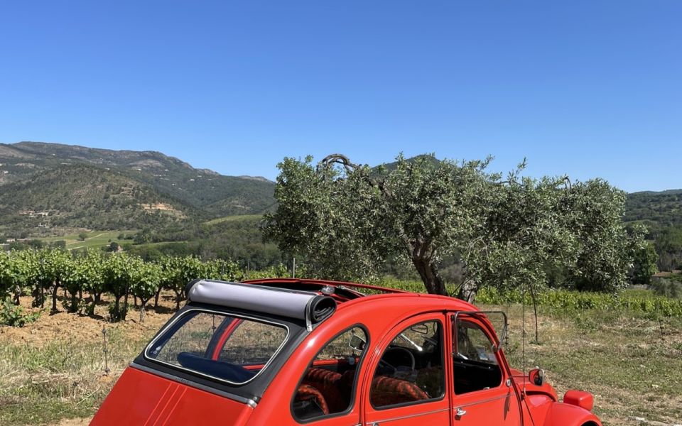 Vintage Wine Tour in Saint-Tropez - Vintage Car Experience