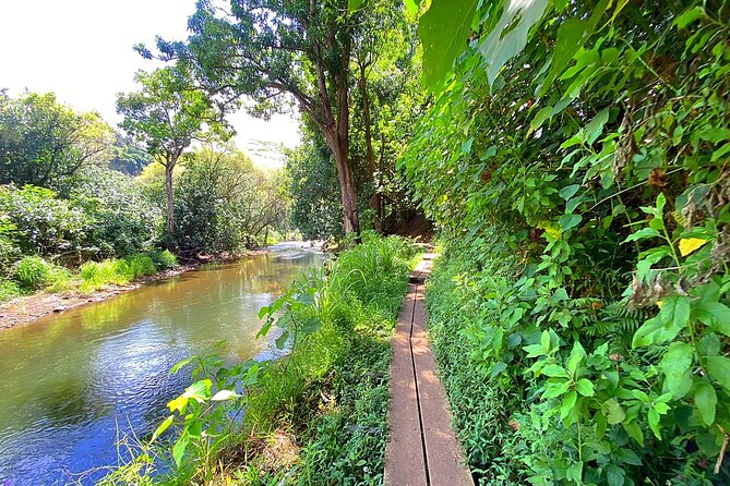Wailua River and Secret Falls Kayak and Hiking Tour on Kauai - Inclusions and Exclusions