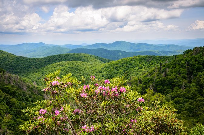 Waterfalls and Blue Ridge Parkway Hiking Tour With Expert Naturalist - Additional Information