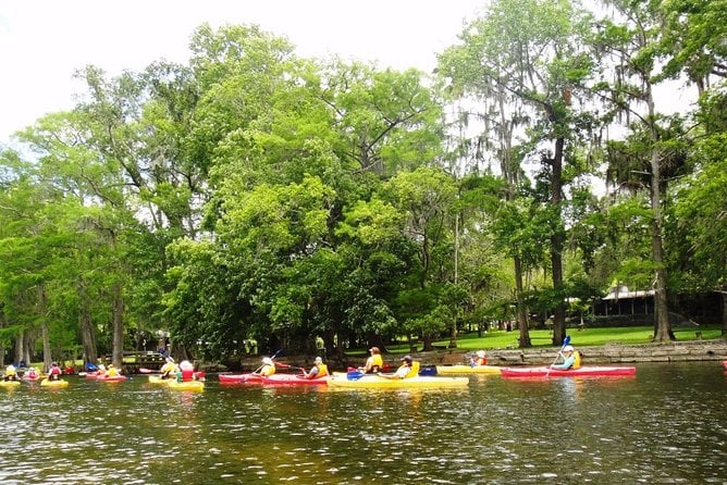 Wekiva River Guided Kayak Tour - Additional Information