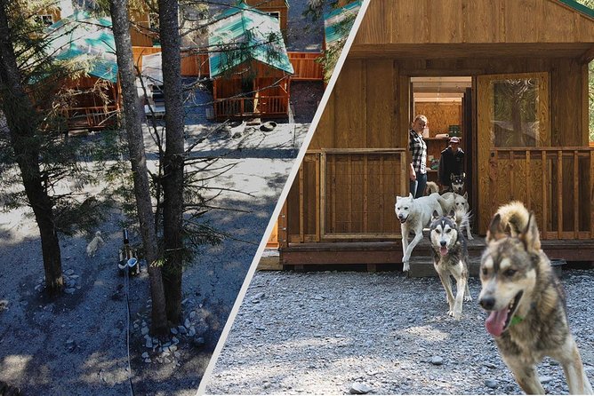 Wilderness Dog Sled Ride and Tour in Seward - Meeting Point and Pickup Details