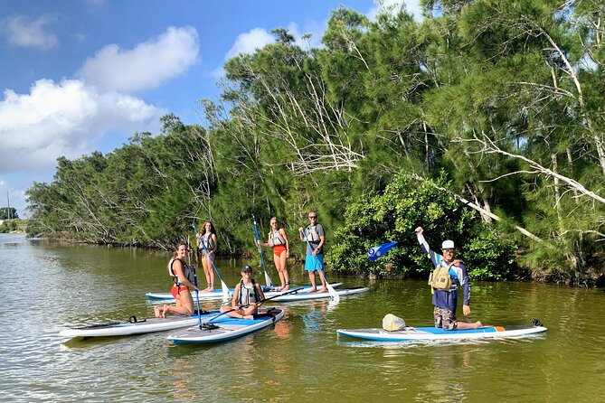 Wildlife Refuge Manatee, Dolphin & Mangrove Kayak or Paddleboarding Tour! - Observing Abundant Wildlife