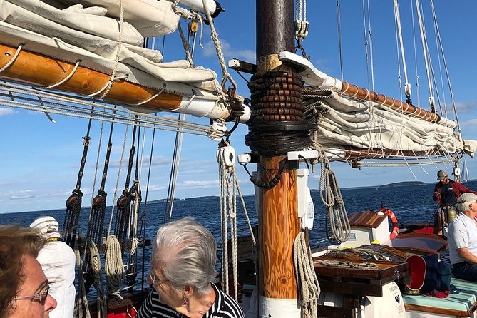 Windjammer Classic Day Sail From Camden, Maine - Eco-Friendly Coastal Exploration