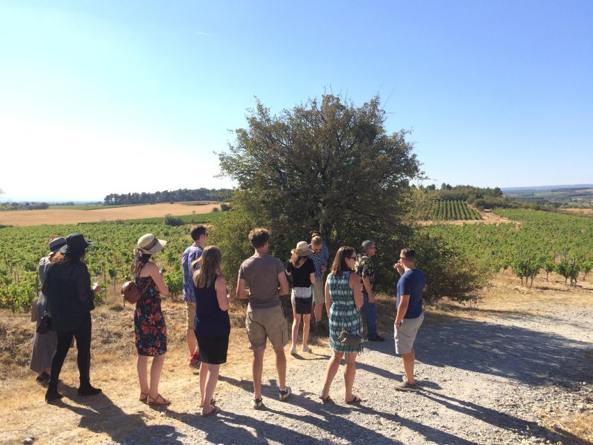 Wine Tour Cathar Country - Included in the Tour