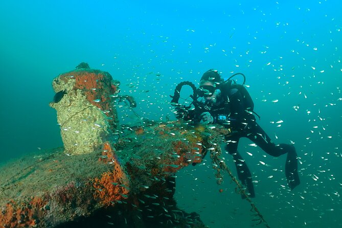 Wreck and Bridge Span Dive Charter for Certified Divers - Confirmation and Expectations