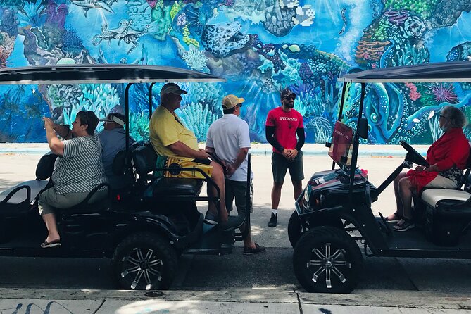 Wynwood Graffiti Golf Cart Small-Group Tour - Tour Expectations