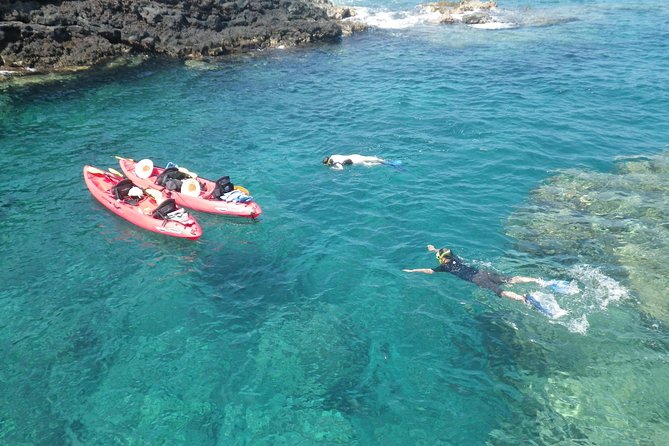 4-hour Kailua-Kona Ocean Kayak and Snorkel Tour - Key Points