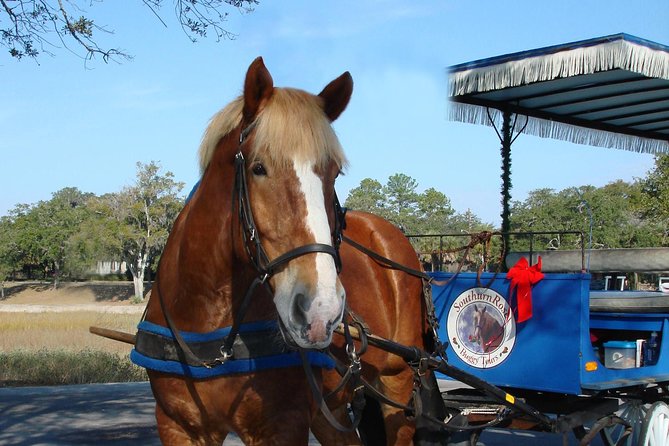 #1 Historical Horse Drawn Carriage Tour - Tour Inclusions and Exclusions
