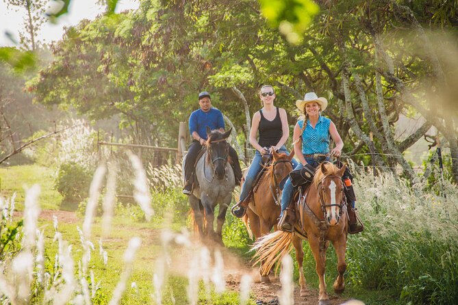 1 Hour Scenic Horseback Ride - Booking and Scheduling