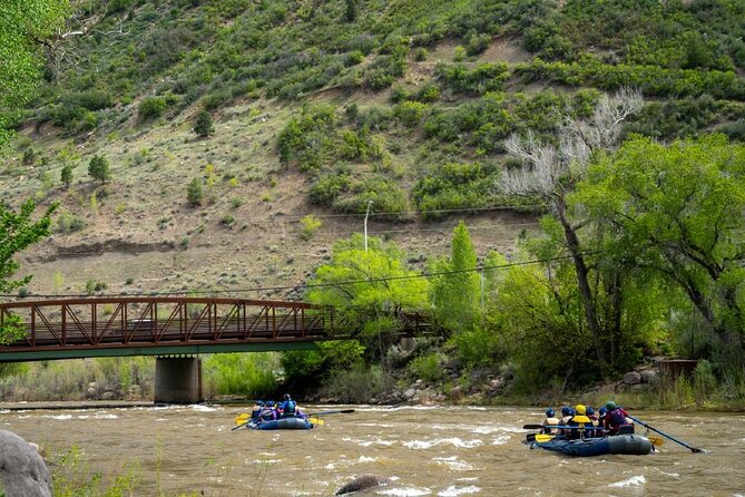 2.5 Hour Splash N Dash Family Rafting in Durango With Guide - Customer Reviews and Rating