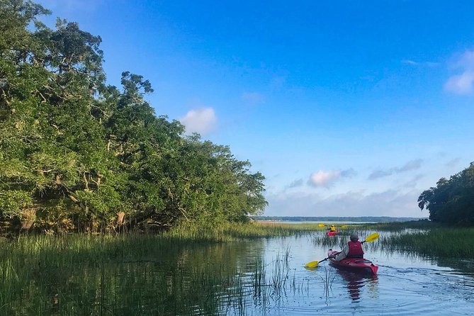 2-Hour Hilton Head Guided Kayak Nature Tour - Scenic Highlights