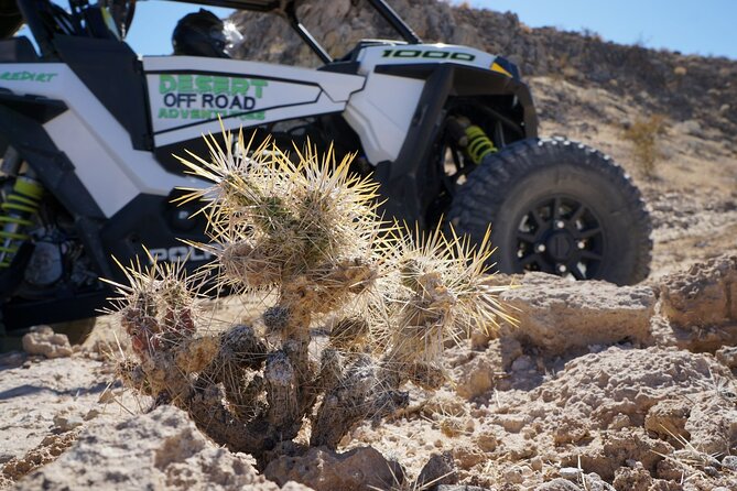 2 Hour Las Vegas Desert Off Road Adventure - Safety Considerations