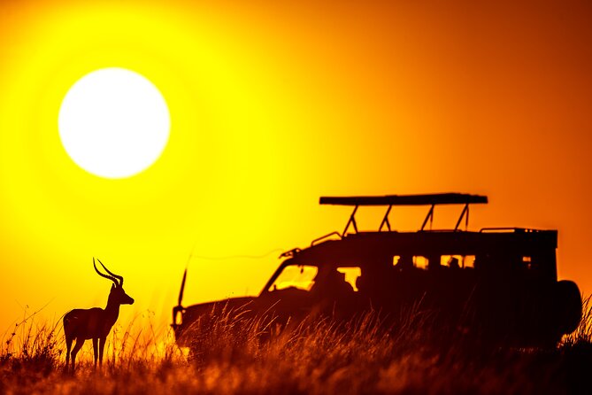 3 Days Masai Mara on Private 4x4 Land Cruiser - Inclusions and Exclusions